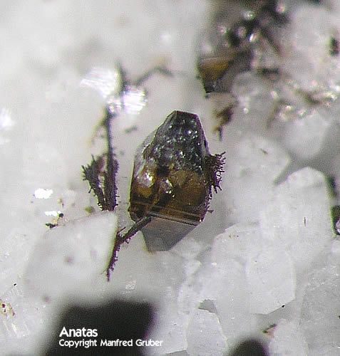 Mineralien Österreich Ankogel Anatas