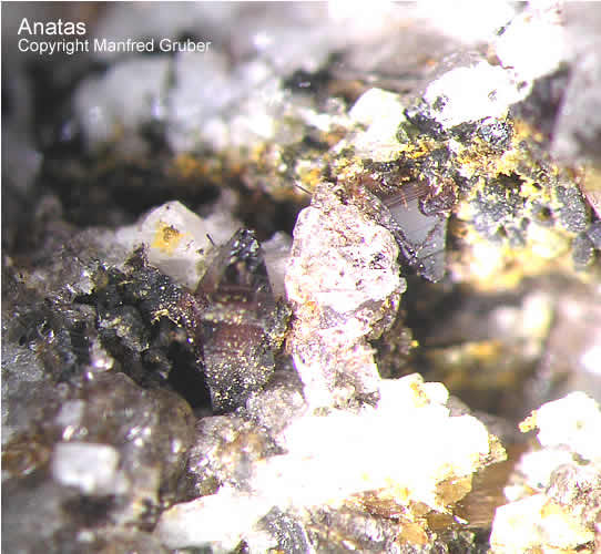 Mineralien Österreich Ankogel Anatas