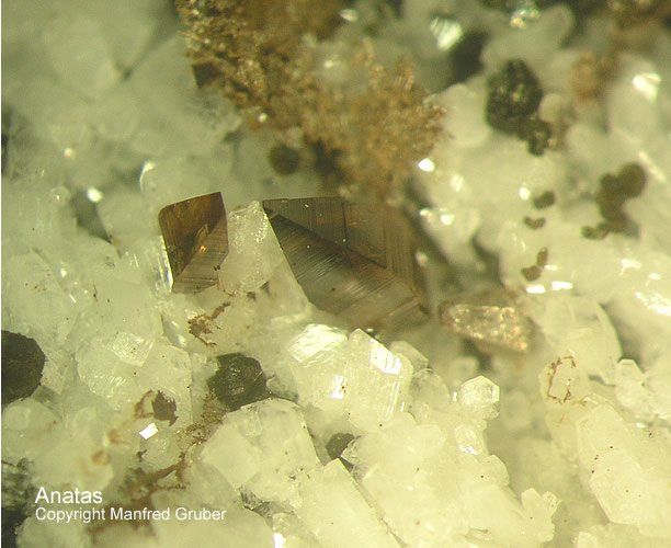 Mineralien Österreich Ankogel Anatas