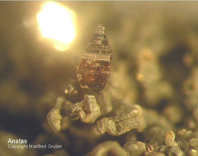Mineralien Österreich Ankogel Anatas