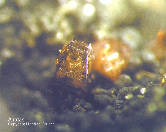 Mineralien Österreich Ankogel Anatas