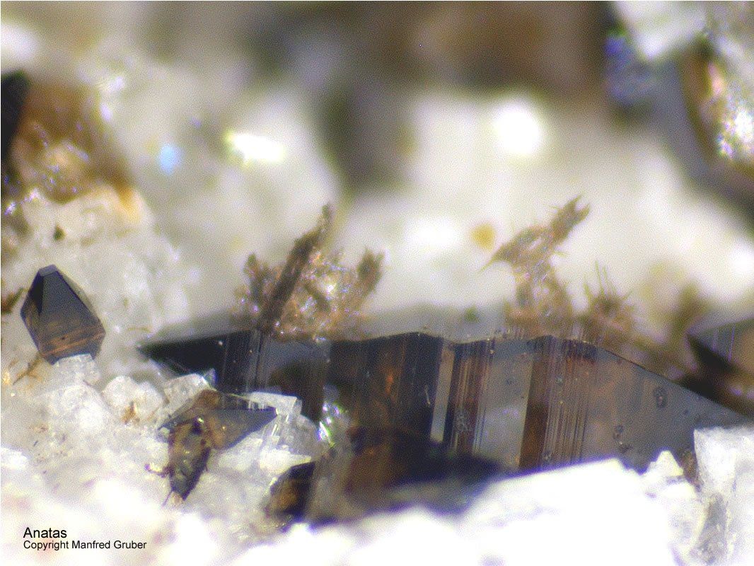 Mineralien Österreich Ankogel Anatas