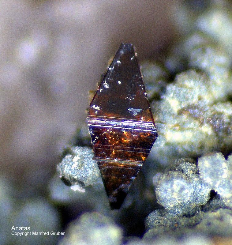 Mineralien Österreich Ankogel Anatas