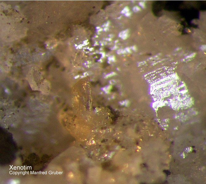 Mineralien Österreich Hopffeldboden Xenotim