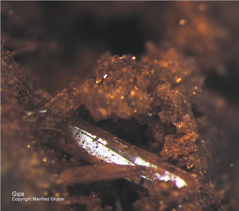 Hessen Mineralien Adorf Bergkristall Gips