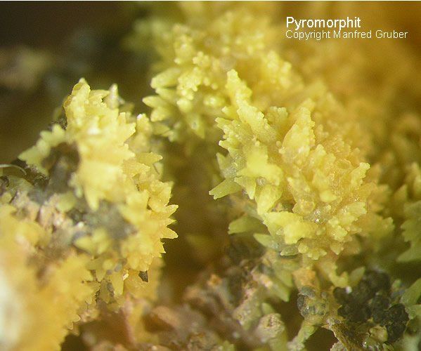 Schwarzwald Mineralien Badenweiler Pyromorphit