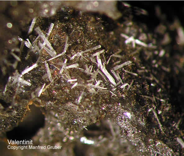 Sauerland Mineralien Caspari Valentinit