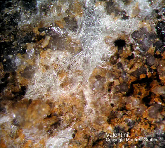 Sauerland Mineralien Caspari Valentinit