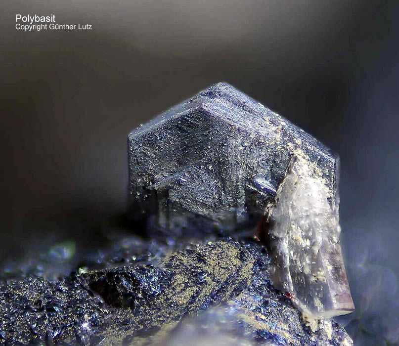 Grube Clara Mineralien Polybasit Schwarzwald Hausach