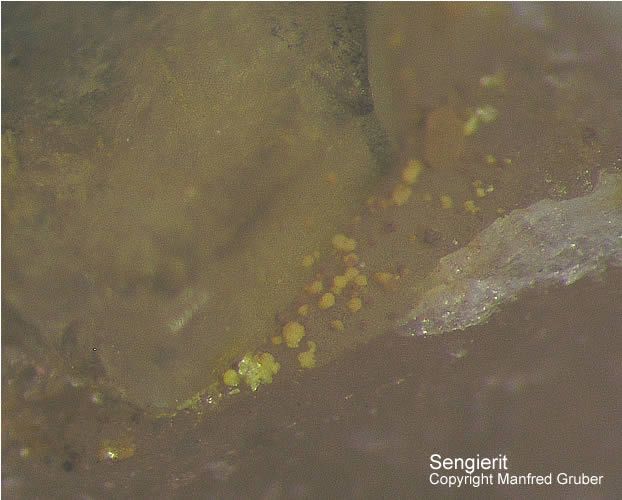 Grube Clara Mineralien Sengerit Schwarzwald Hausach