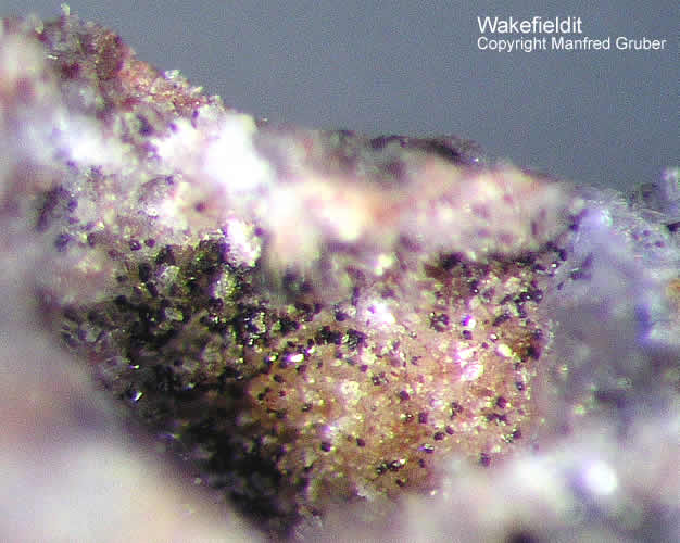 Grube Clara Mineralien Wakefieldit Schwarzwald Hausach