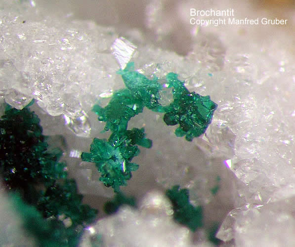 Schwarzwald Grube Clara Mineralien Brochantit