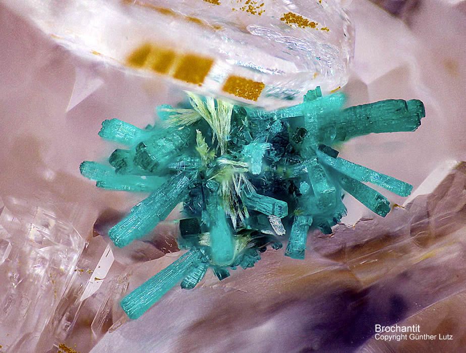 Schwarzwald Grube Clara Mineralien Brochantit