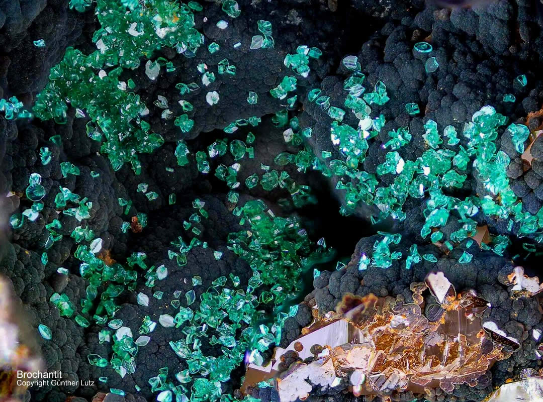 Schwarzwald Grube Clara Mineralien Brochantit