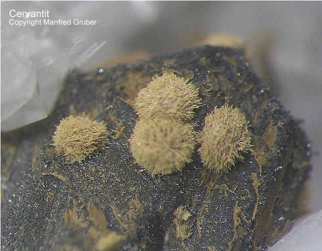 Grube Clara Schwarzwald Mineralien Cervantit