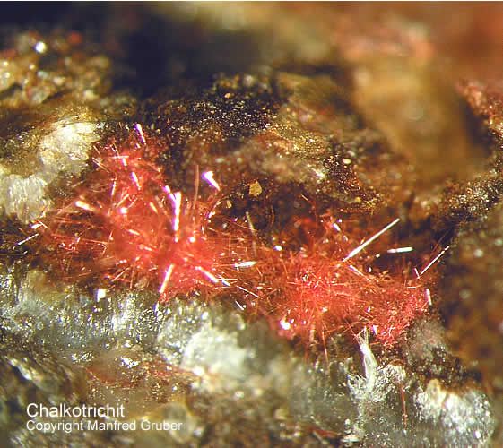 Grube Clara Mineralien Chalkotrichit Schwarzwald