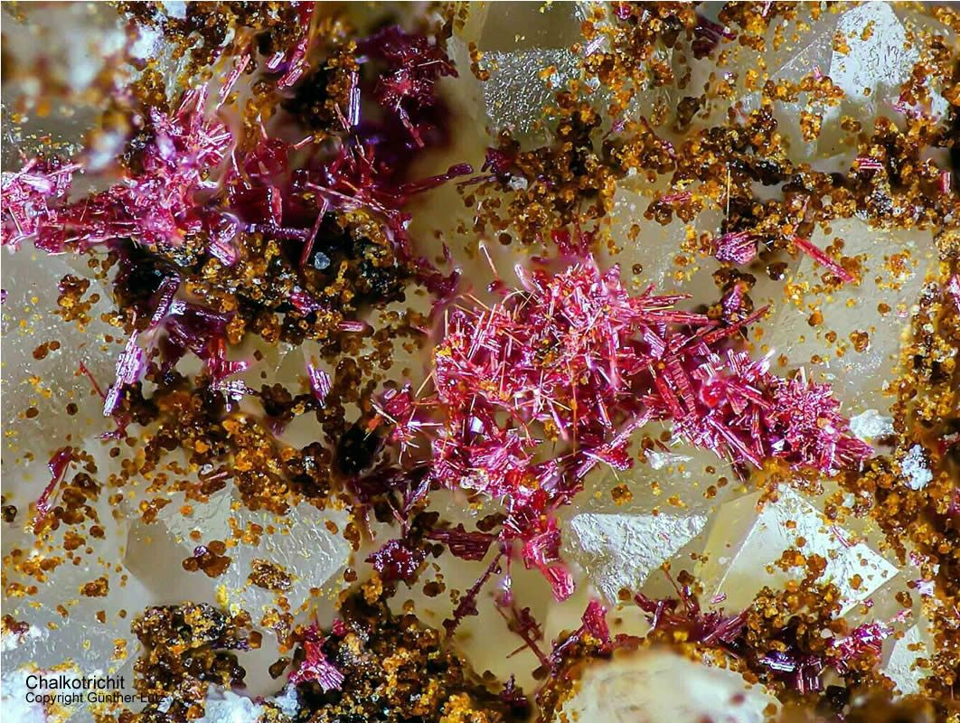 Grube Clara Mineralien Chalkotrichit Schwarzwald