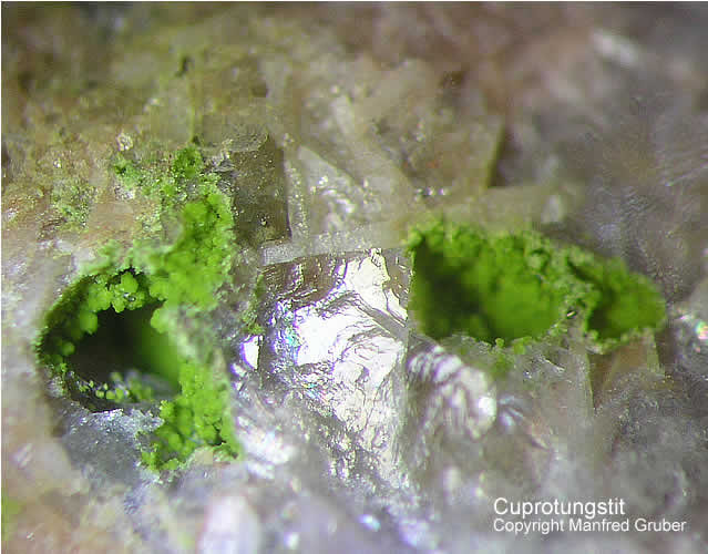 Grube Clara Mineralien Cuprotungstit Schwarzwald