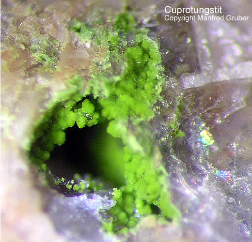 Grube Clara Mineralien Cuprotungstit Schwarzwald