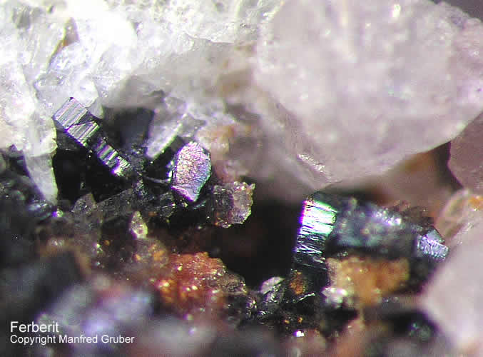 Grube Clara Mineralien Ferberit Schwarzwald