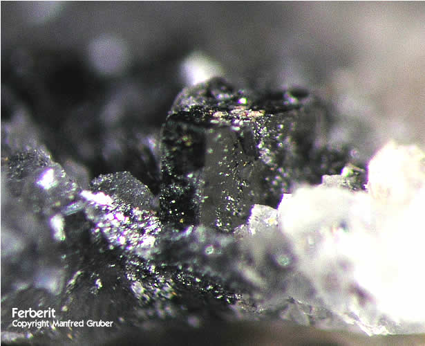 Grube Clara Mineralien Ferberit Schwarzwald