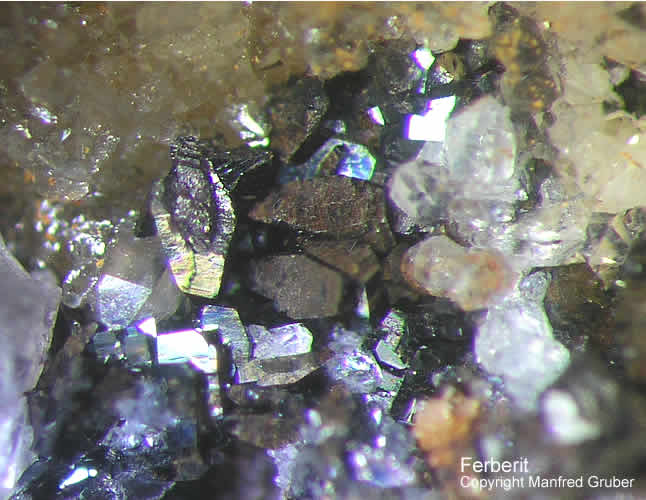 Grube Clara Mineralien Ferberit Schwarzwald