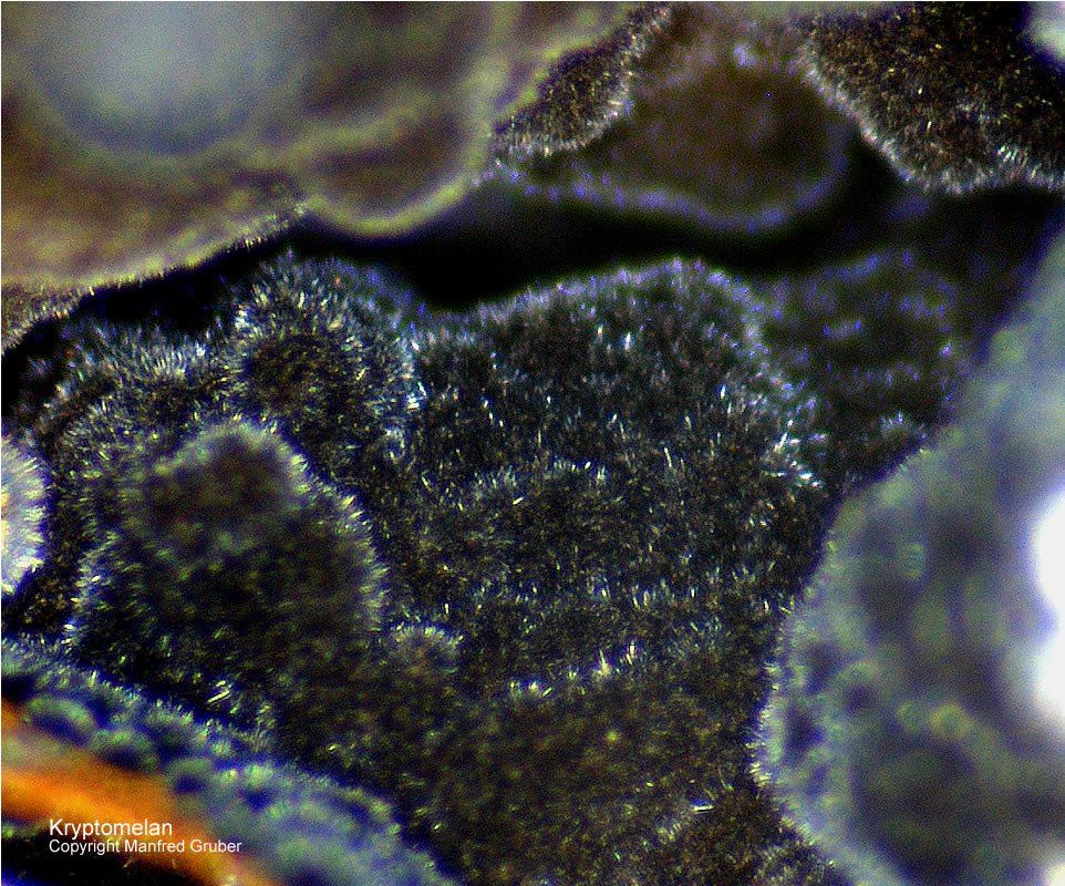Grube Clara Mineralien Kryptomelan Schwarzwald Hausach