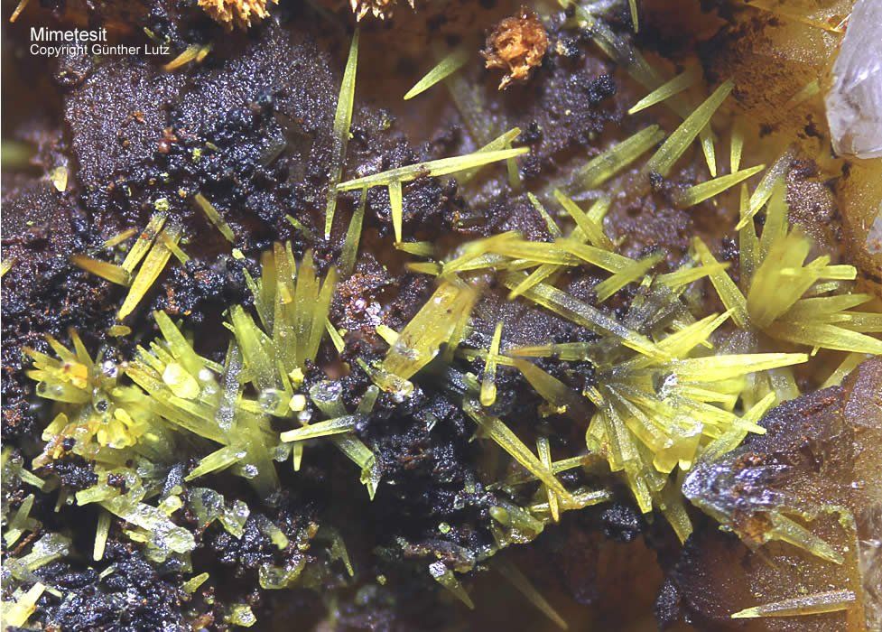 Grube Clara Mineralien Mimetesit Schwarzwald Hausach