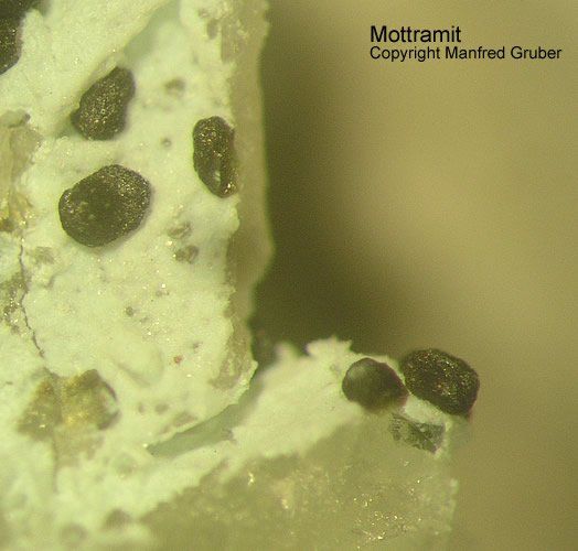 Grube Clara Mineralien Mottramit Schwarzwald Hausach