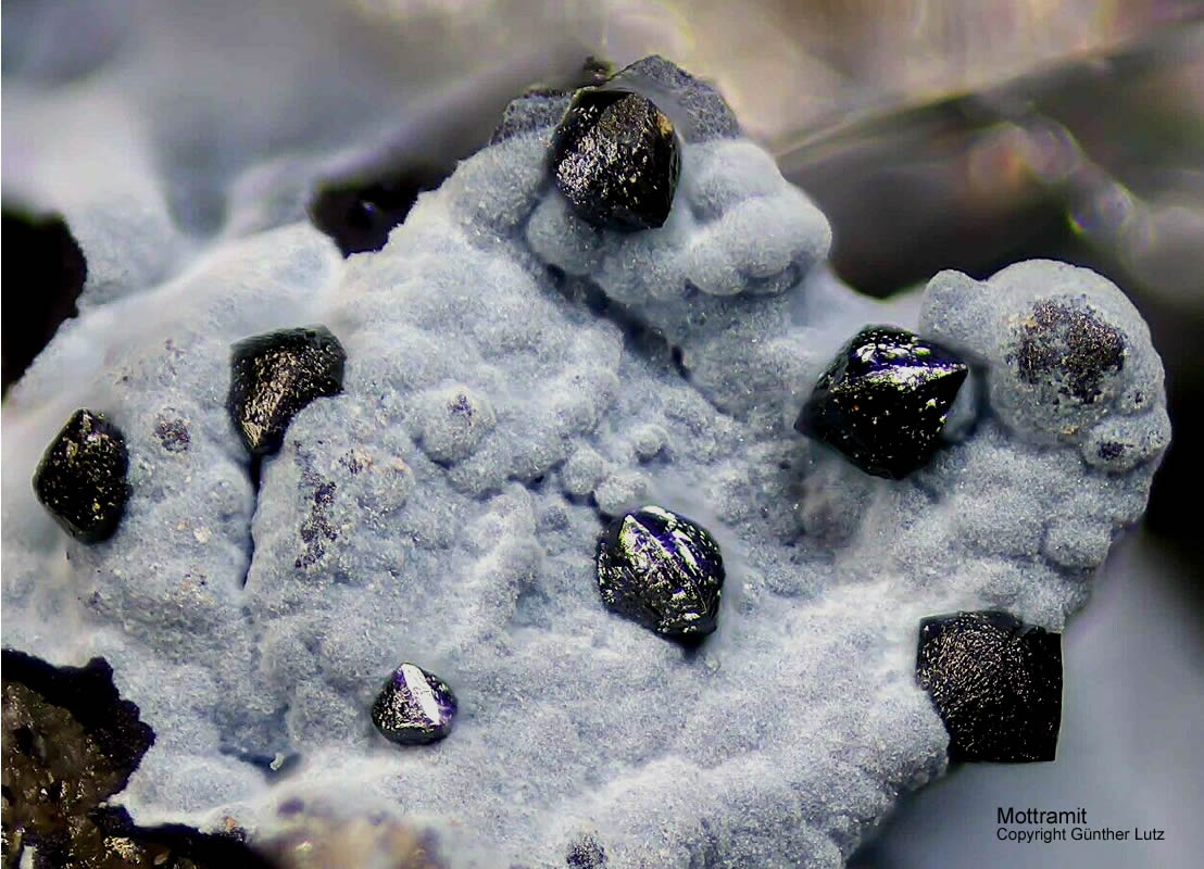 Grube Clara Mineralien Mottramit Schwarzwald Hausach