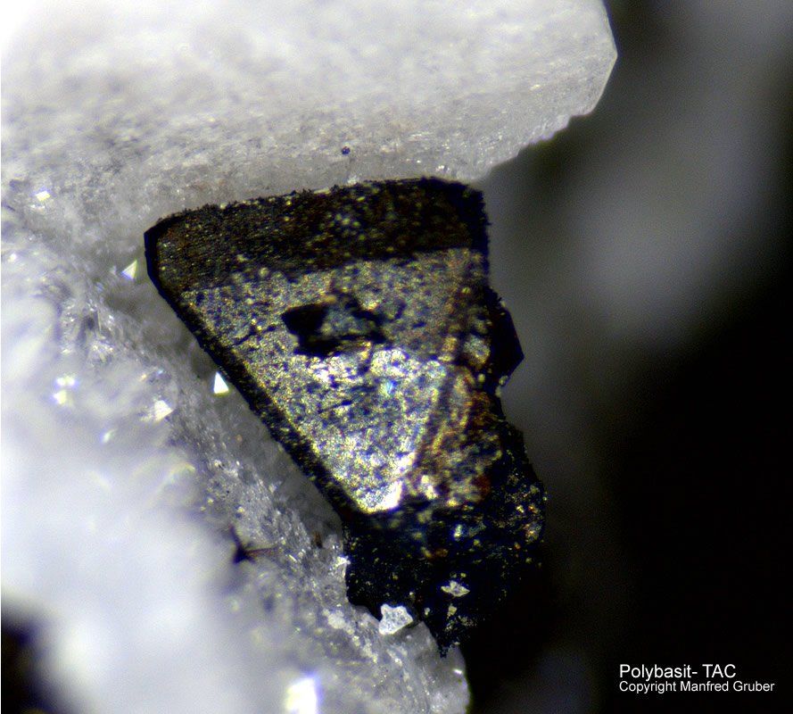 Grube Clara Mineralien Polybasit Schwarzwald Hausach