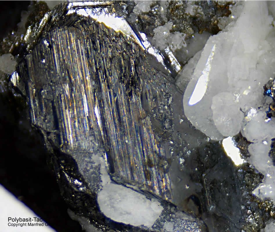 Grube Clara Mineralien Polybasit Schwarzwald Hausach