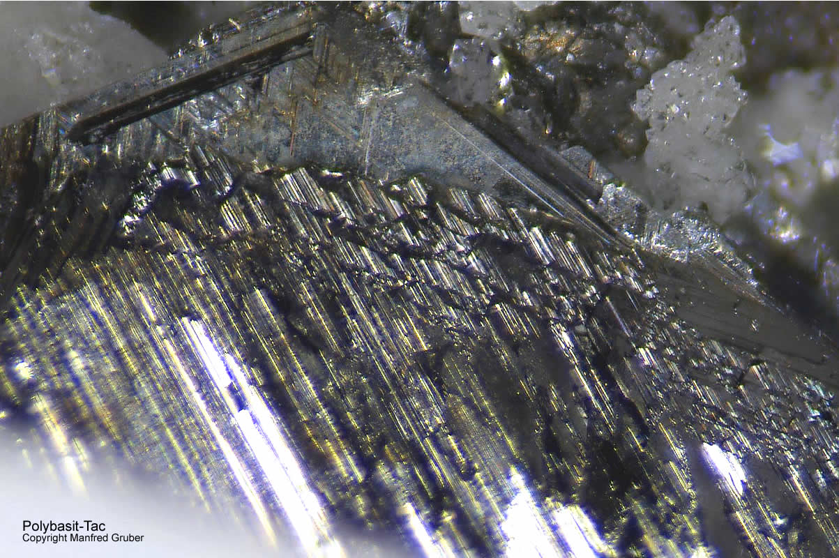 Grube Clara Mineralien Polybasit Schwarzwald Hausach