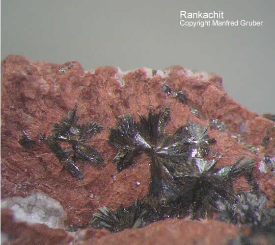 Grube Clara Mineralien Rankachit Schwarzwald Hausach