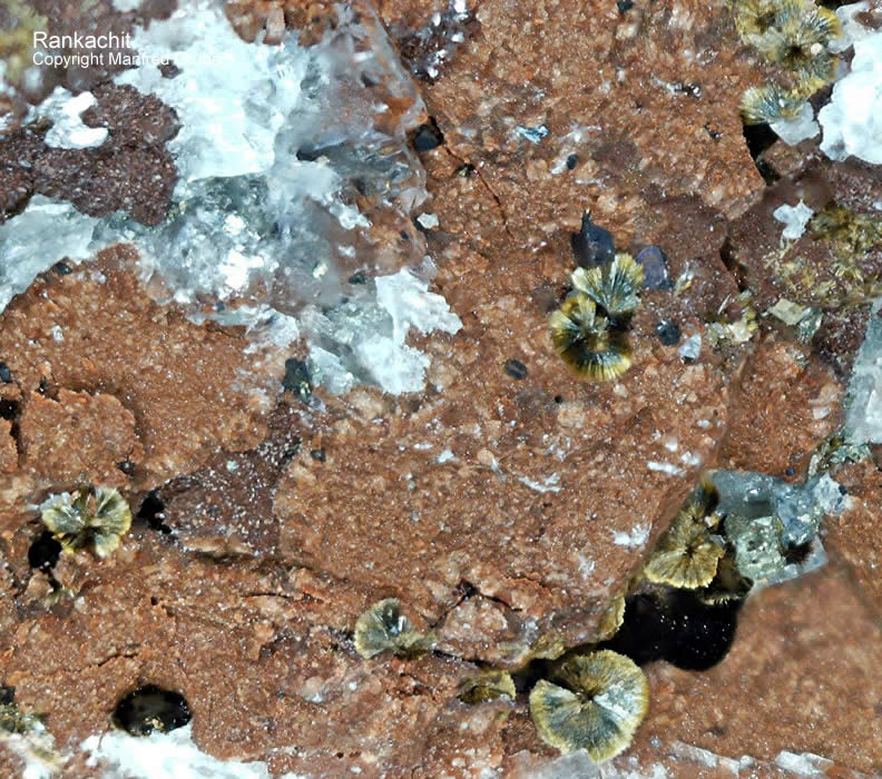 Grube Clara Mineralien Rankachit Schwarzwald Hausach