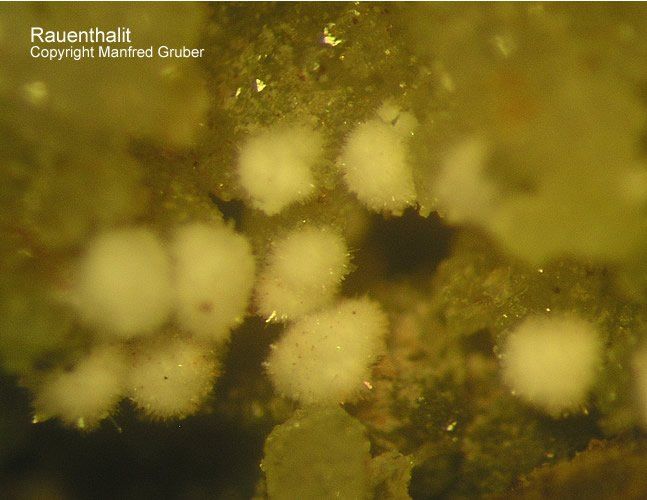Grube Clara Mineralien Rauenthalit Schwarzwald Hausach