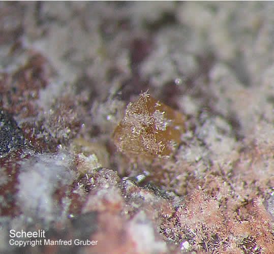 Grube Clara Mineralien Scheelit Schwarzwald Hausach