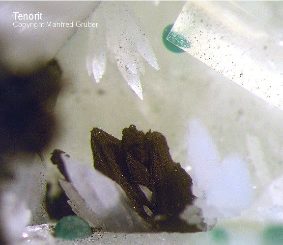 Grube Clara Mineralien Tenorit Schwarzwald Hausach