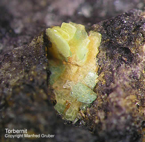 Grube Clara Mineralien Torbernit Schwarzwald Hausach
