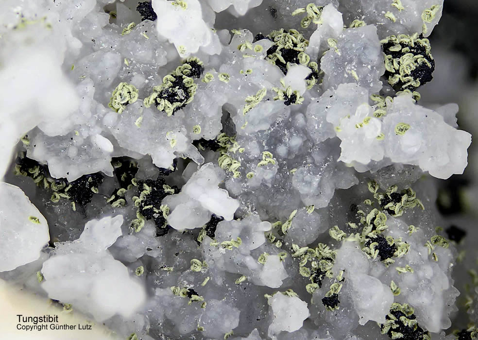 Grube Clara Mineralien Tungstibit Schwarzwald Hausach