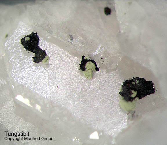 Grube Clara Mineralien Tungstibit Schwarzwald Hausach