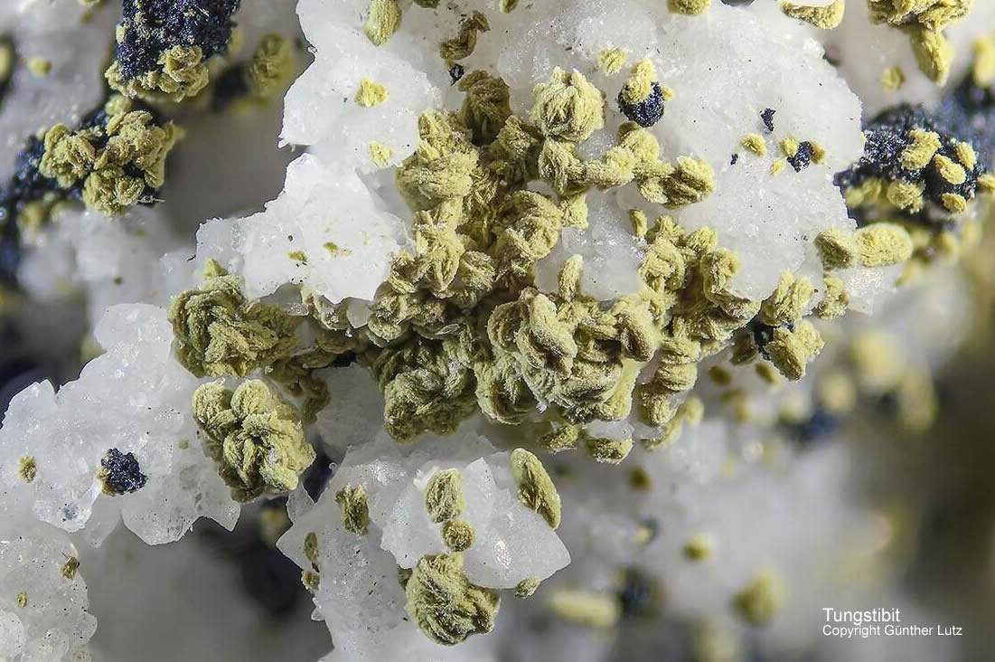 Grube Clara Mineralien Tungstibit Schwarzwald Hausach