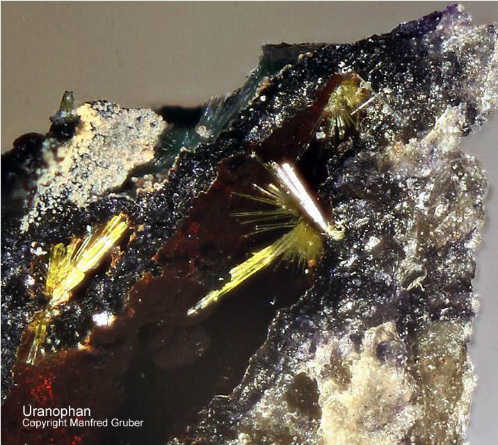 Grube Clara Mineralien Uranophan Schwarzwald Hausach