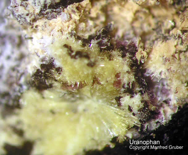 Grube Clara Mineralien Uranophan Schwarzwald Hausach