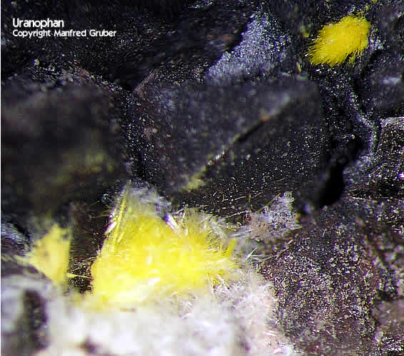 Grube Clara Mineralien Uranophan Schwarzwald Hausach