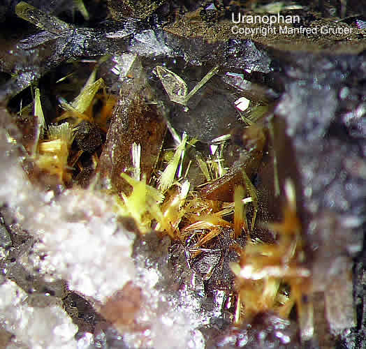 Grube Clara Mineralien Uranophan Schwarzwald Hausach