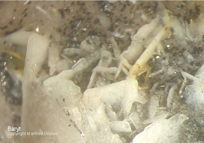 Grube Daniel Mineralien Baryt Schwarzwald Gallenbachtal