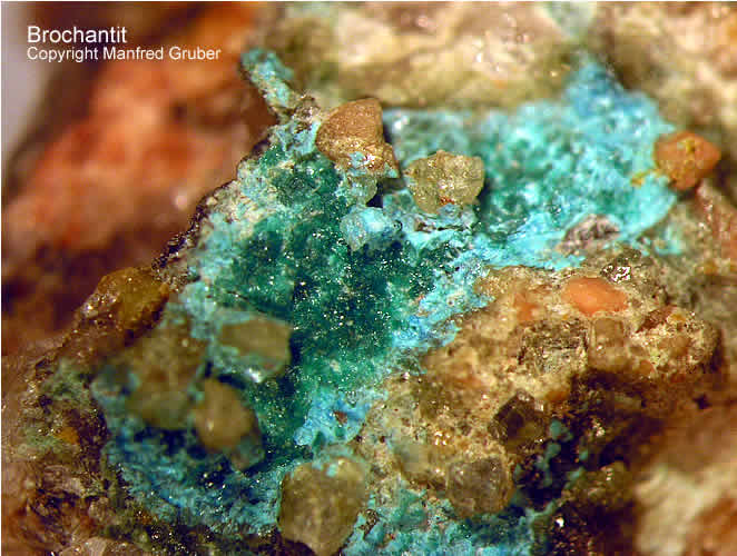 Grube Daniel Mineralien Brochantit Schwarzwald Gallenbachtal