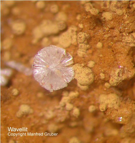 Sauerland Mineralien Grube David Wavellit Warstein