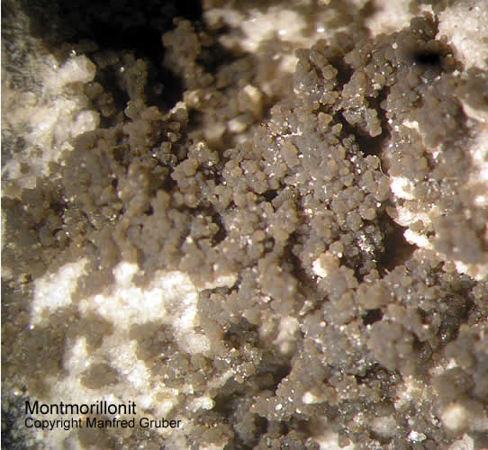 Vogelsberg Mineralien Gaulsberg Montmorillonit